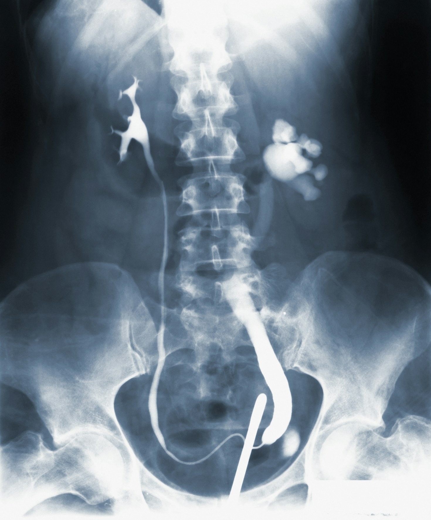 Patient-Centered Care in Diagnostic Imaging - Imagenes HN
